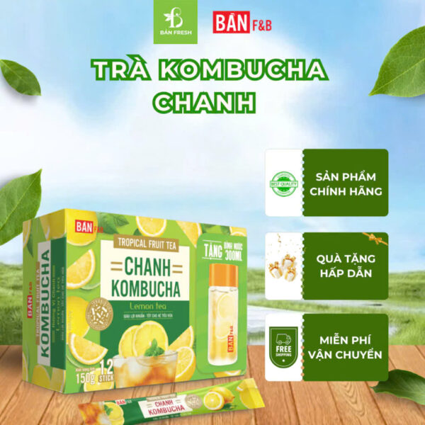chanh kombucha
