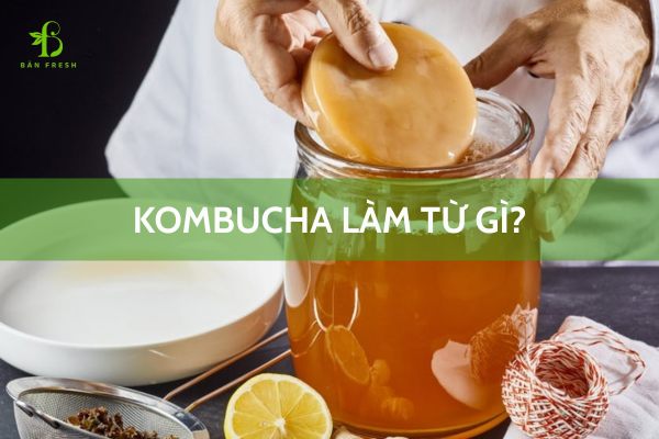Kombucha làm từ gì? Hé lộ thành phần tạo nên thức uống lên men siêu hot 2 kombucha làm từ gì