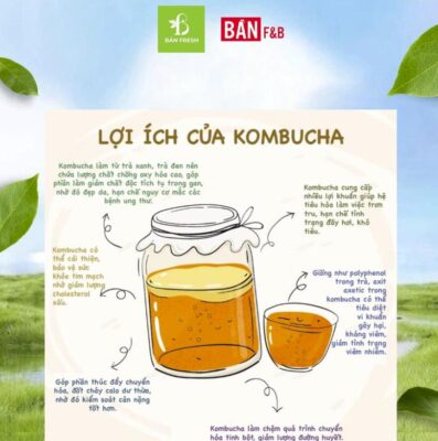 Kombucha làm từ gì? Hé lộ thành phần tạo nên thức uống lên men siêu hot 3 kombucha làm từ gì